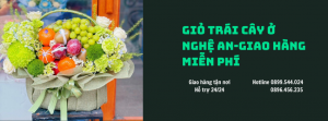 Giỏ Trái Cây Ở Nghệ An-Giao Hàng Miễn Phí